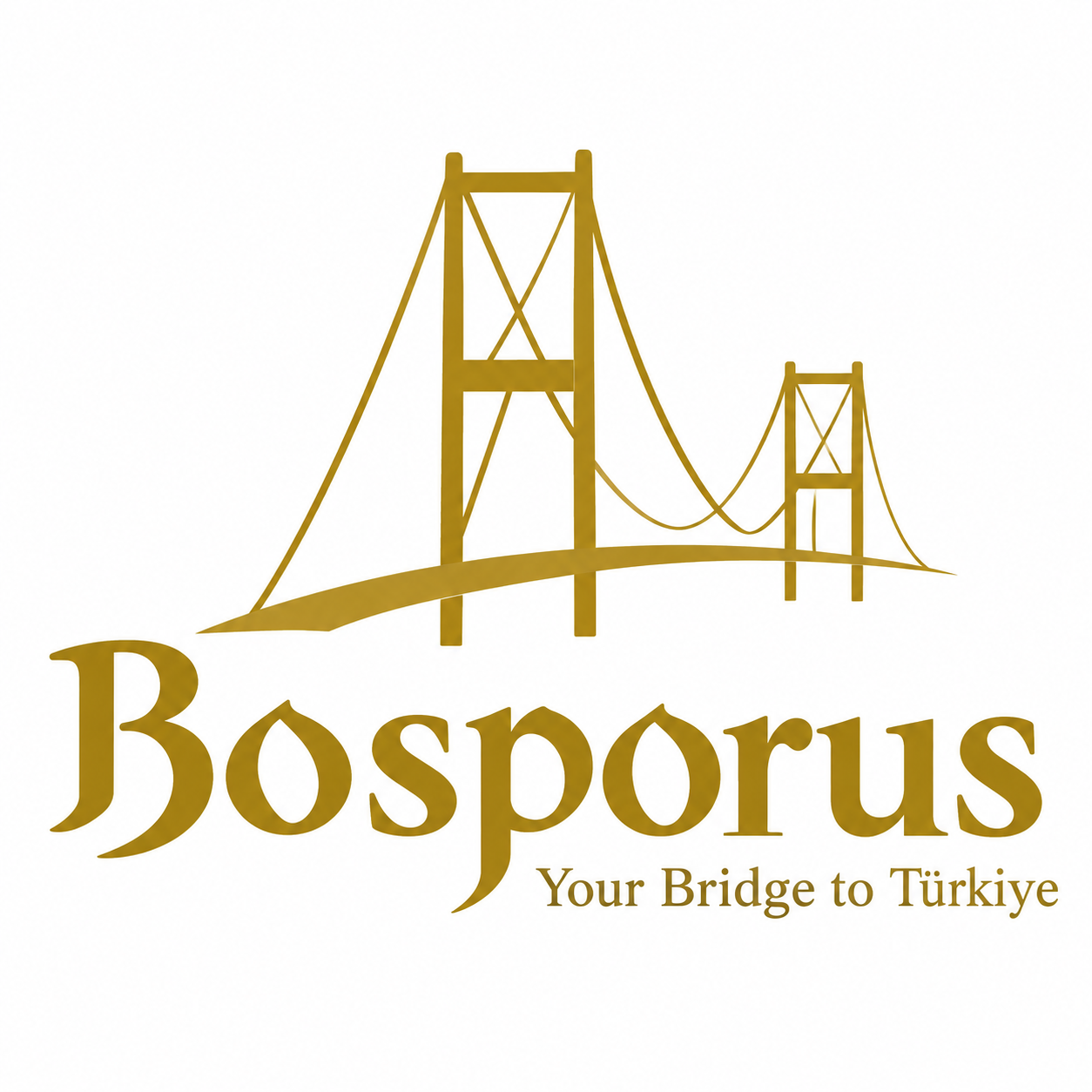 Bosporus process visual